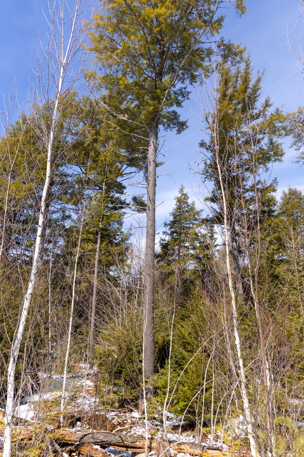 Photo of R7L14A Route 157 Route, Mattawamkeag, ME 04459 (MLS # 1654376)