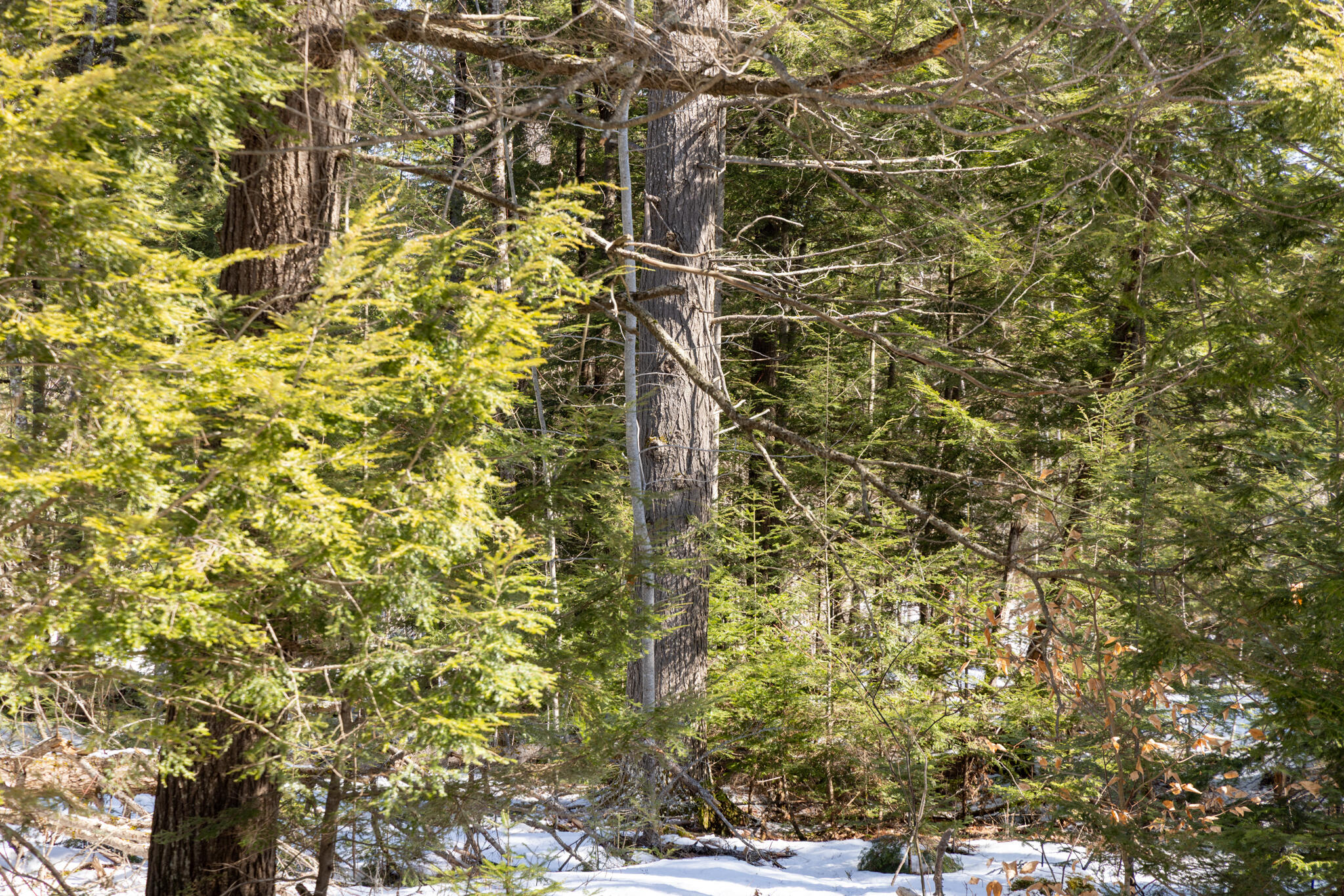 R7L14A Route 157 Route