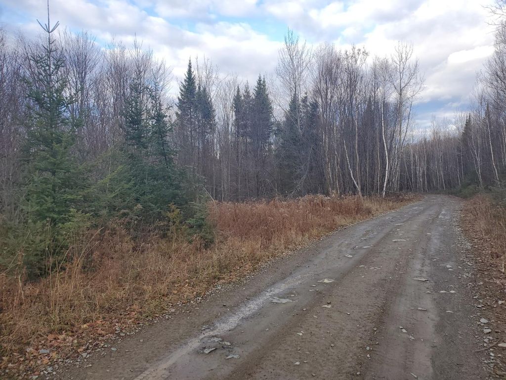 Photo of Lot 4 West of May Mountain Road, Island Falls, ME 04747 (MLS # 1649295)