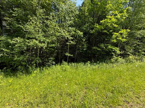Photo of 158-050-2 VFW Street, Lincoln, ME 04457 (MLS # 1663710)