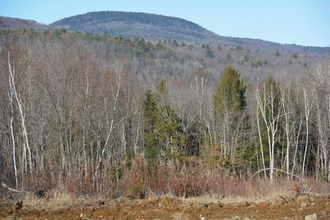 Photo of Lot 137.25 French Hill Road, Albany Twp, ME 04217 (MLS # 1646321)