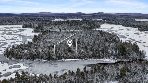 Photo of 124 Dead Stream Road, Lincoln, ME 04457 (MLS # 1645899)