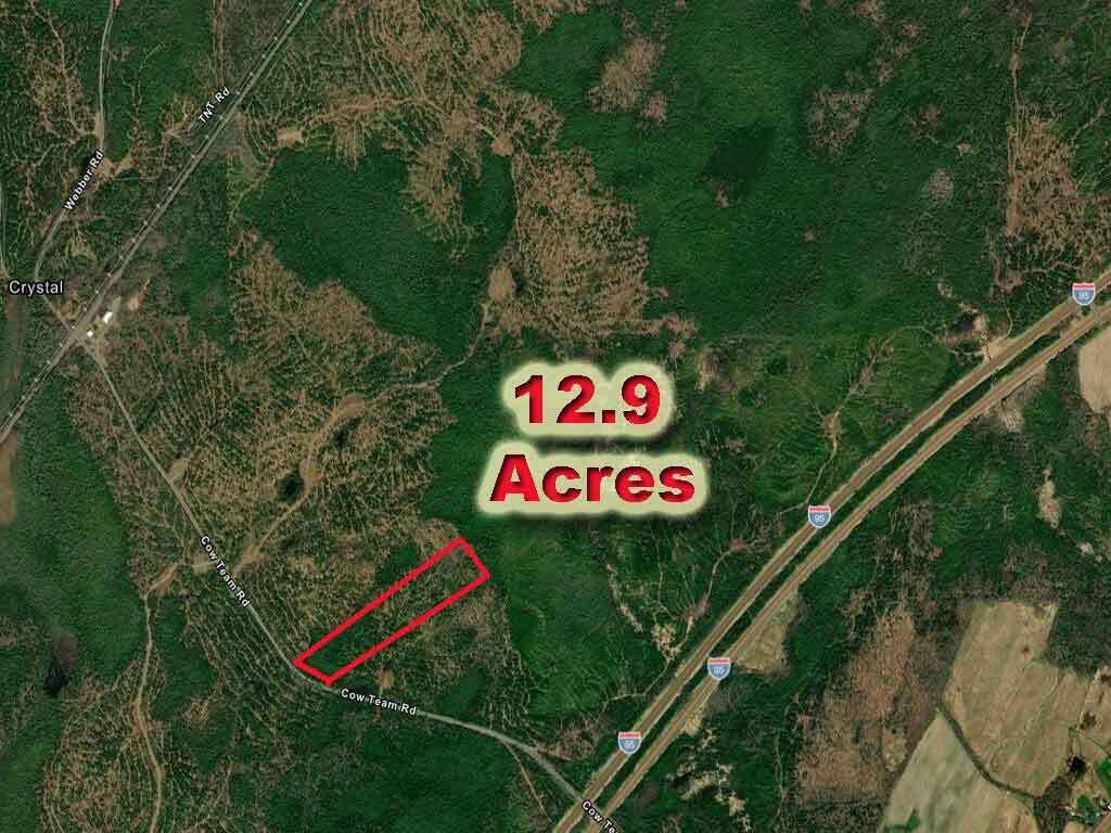 Lot D Cow Team Road