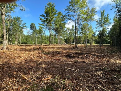 Photo of TBD Ten Road, Bradley, ME 04411 (MLS # 1646270)