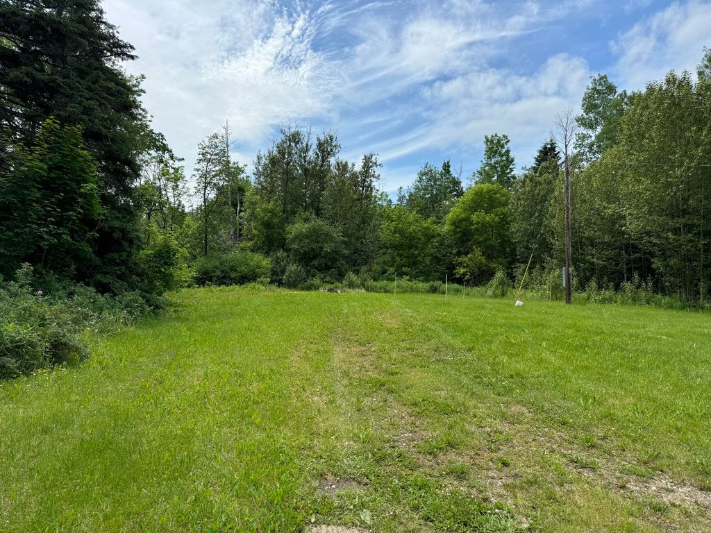 Photo of 107 Robinson Road, Blaine, ME 04734 (MLS # 1629701)