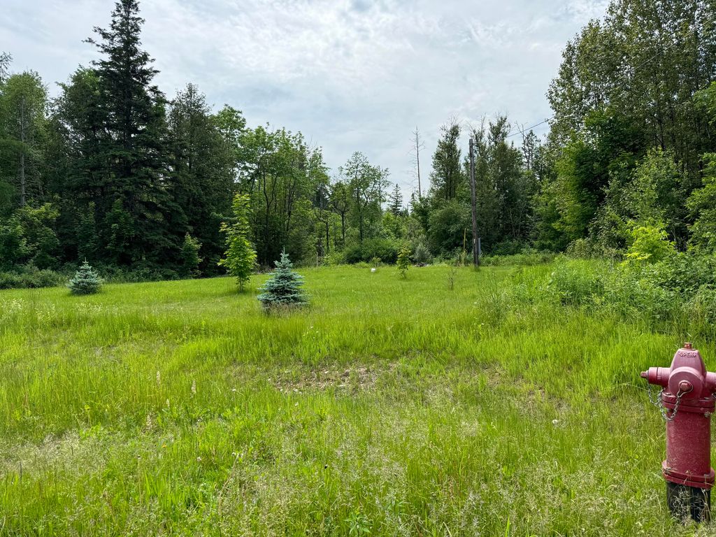 Photo of 107 Robinson Road, Blaine, ME 04734 (MLS # 1629701)