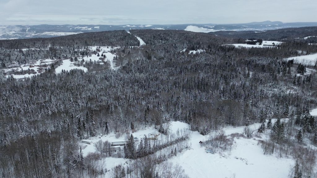 Photo of M28 Lot 26 Pelletier Road, Madawaska, ME 04756 (MLS # 1649091)