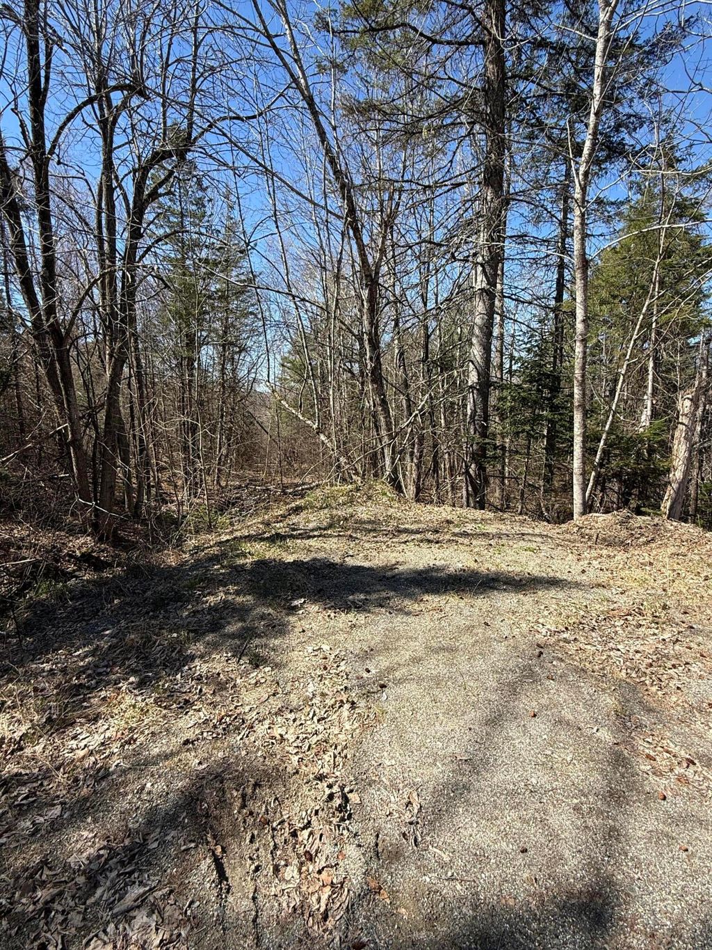 Photo of Lot 016-2 142 Old Fisher Rd Road, Holden, ME 04429 (MLS # 1659779)