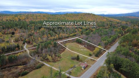 Photo of Lot 10-1 Walkers Mills Road, Bethel, ME 04217 (MLS # 1640820)