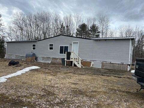 Photo of 195 Milo Road, Sebec, ME 04481 (MLS # 1657005)