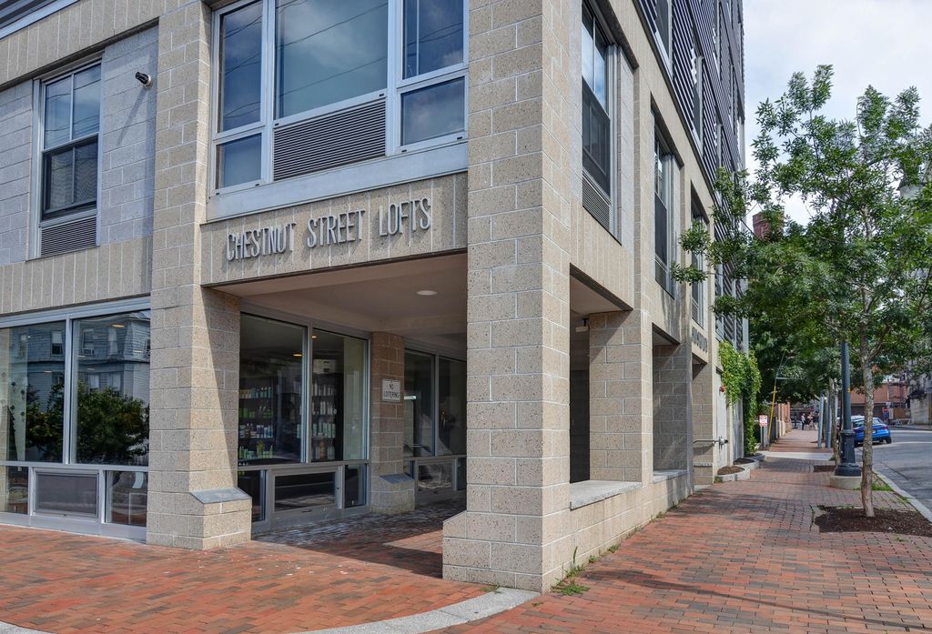 Photo of 21 Chestnut Street #203, Portland, ME 04101 (MLS # 1639091)