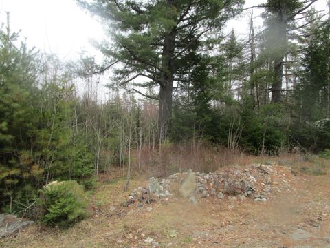 Photo of Rt 180 Rebel Hill Road, Clifton, ME 04428 (MLS # 1659159)