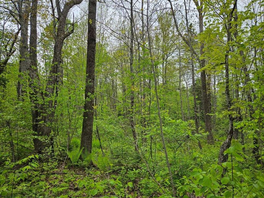 Photo of 681 Mile Hill Road, New Sharon, ME 04955 (MLS # 1650791)