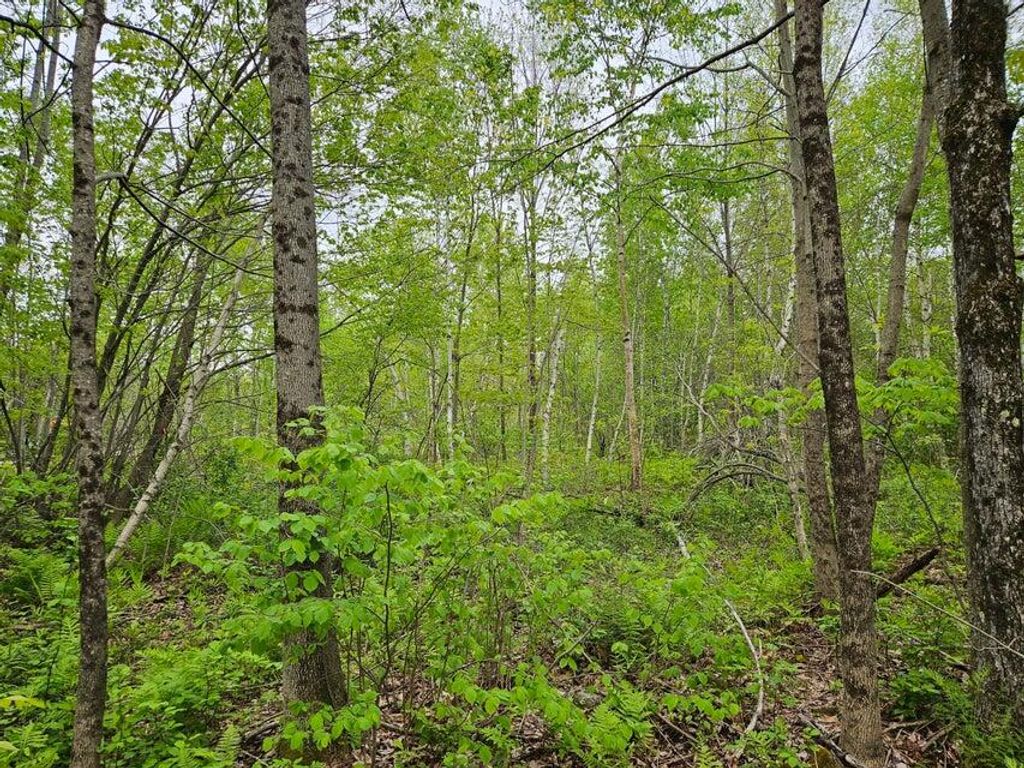 Photo of 681 Mile Hill Road, New Sharon, ME 04955 (MLS # 1650791)