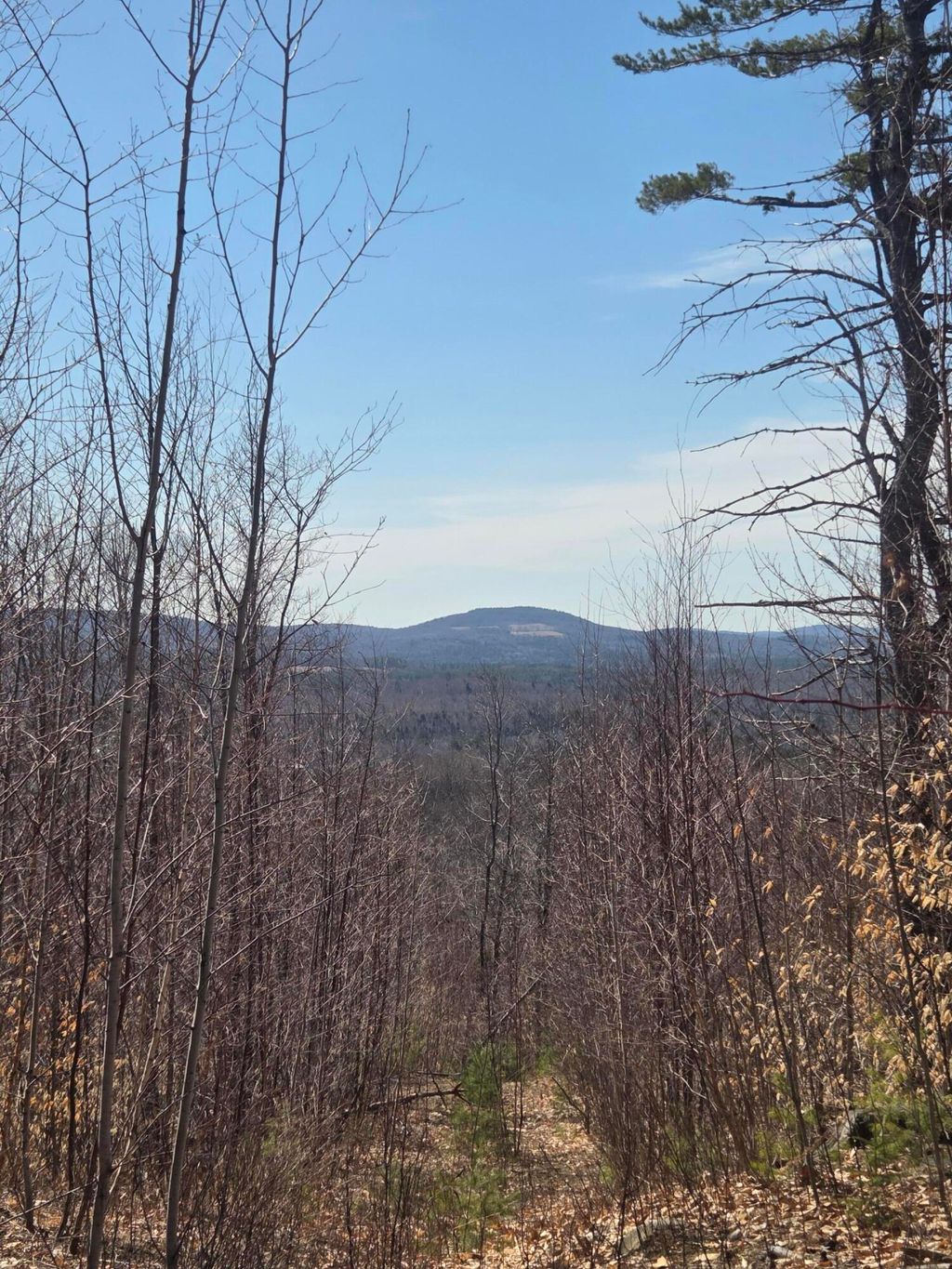 Photo of 1022 Orchard Drive, Wilton, ME 04294 (MLS # 1661668)