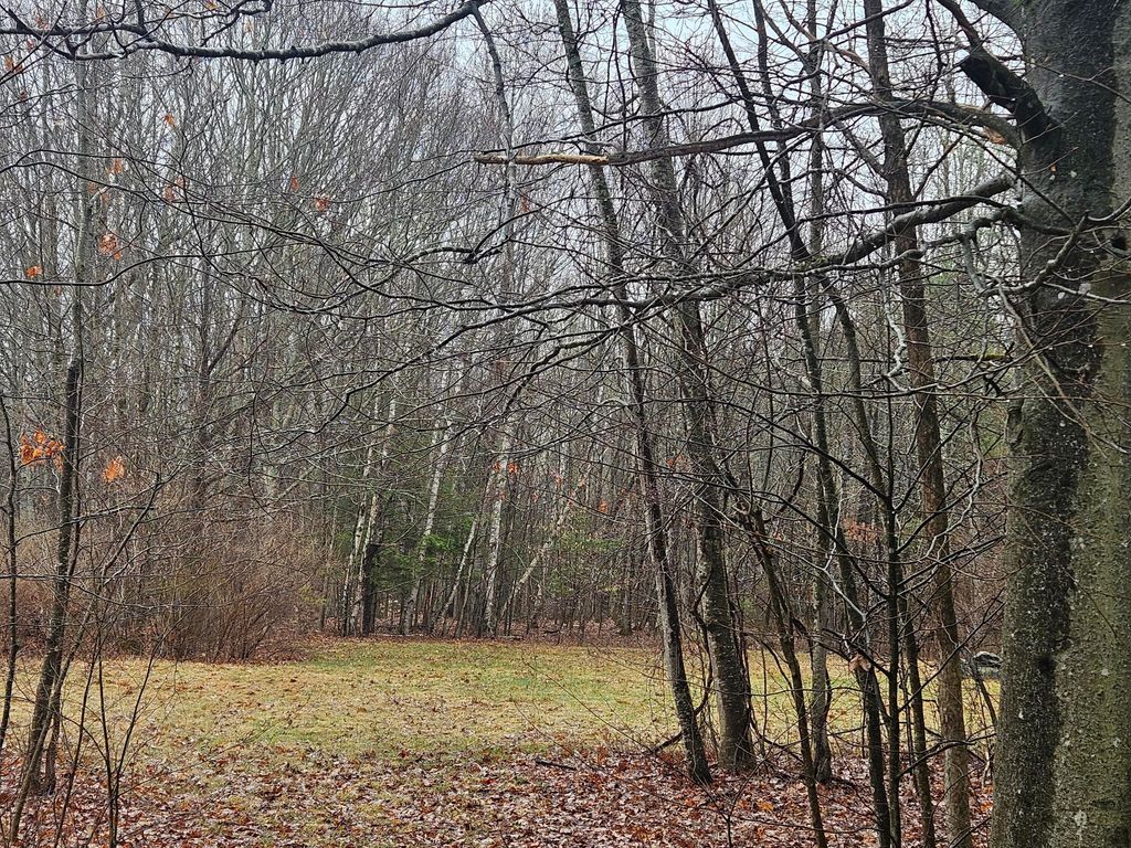 Photo of 9 Mudget Hill Road, Vassalboro, ME 04989 (MLS # 1658080)