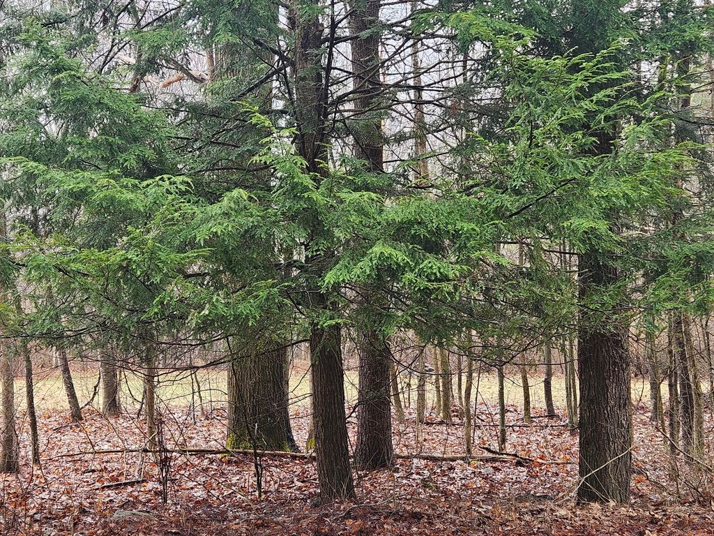 Photo of 9 Mudget Hill Road, Vassalboro, ME 04989 (MLS # 1658080)