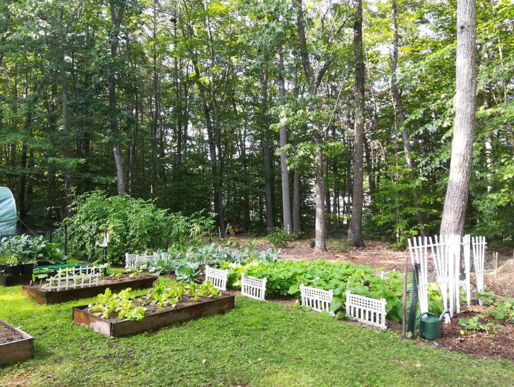 Photo of 11 Gloria Street, Gorham, ME 04038 (MLS # 1658038)