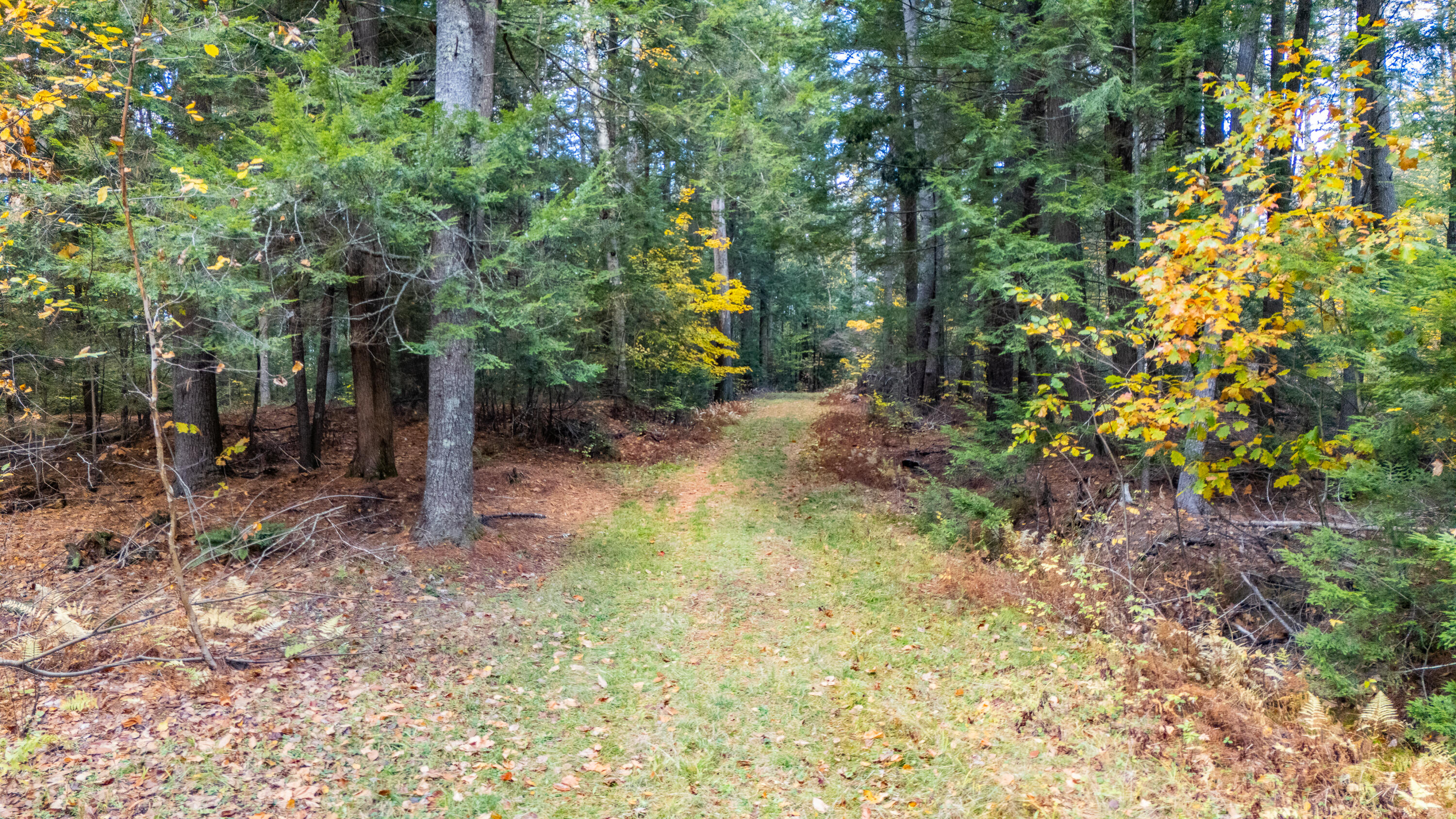 Lot 15&40 Gibbs Road