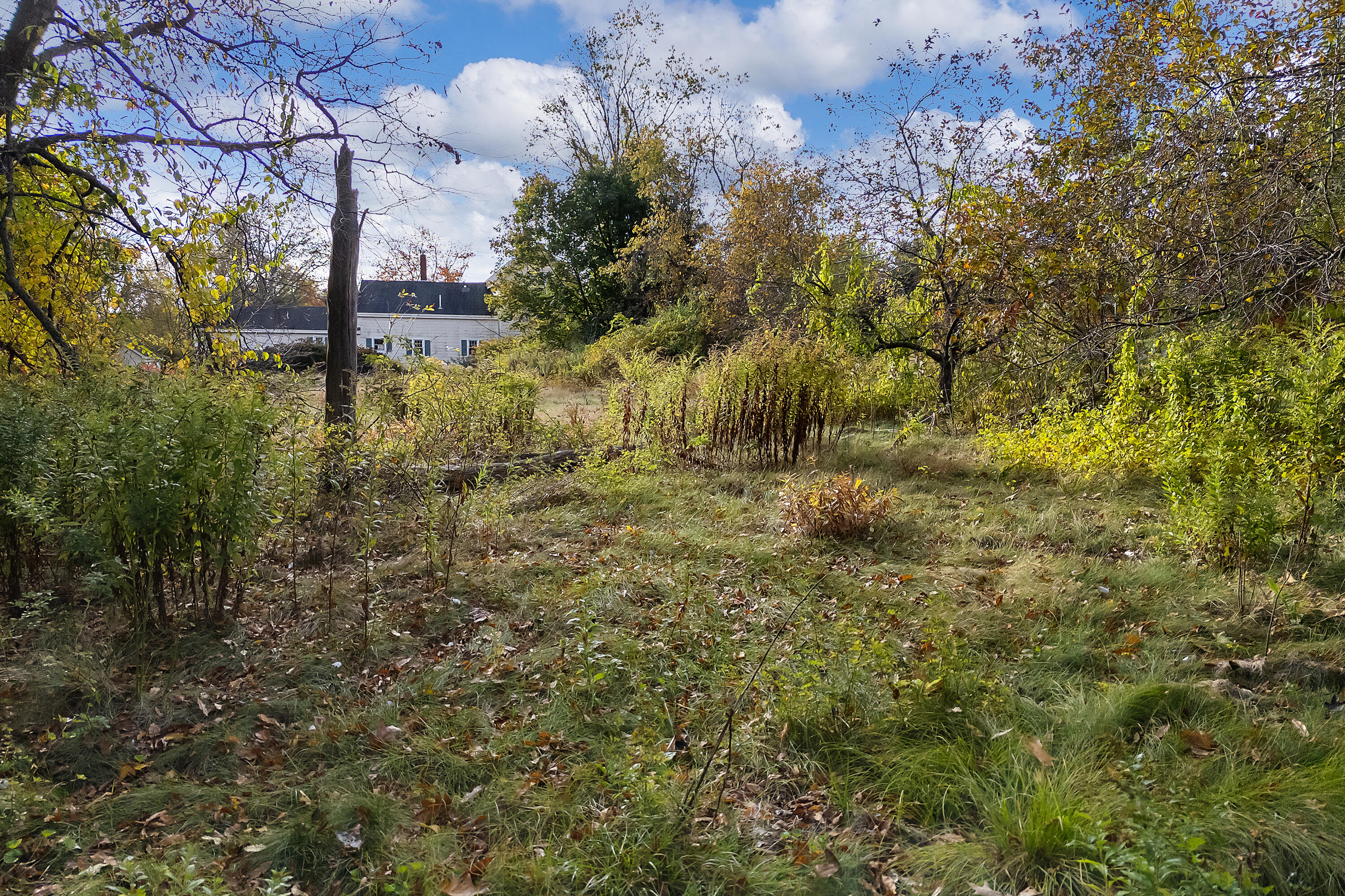4 Homestead Drive