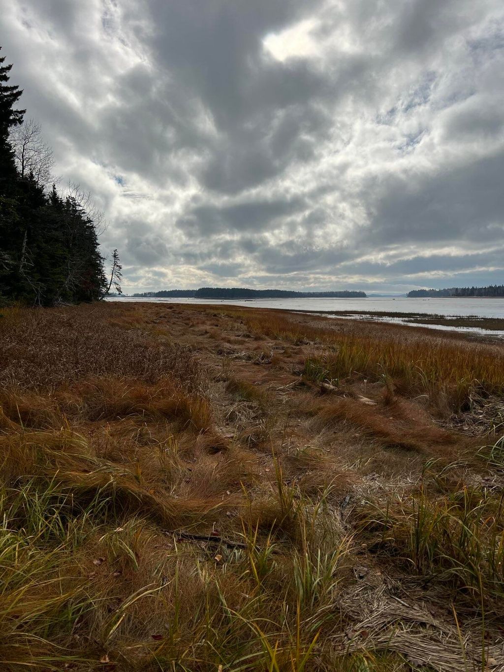 Photo of Lot 181 Rays Point Road, Milbridge, ME 04658 (MLS # 1650257)