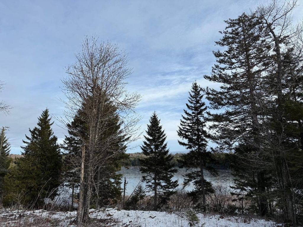 Photo of Lot 7BH Steam Mill Road, Robbinston, ME 04671 (MLS # 1652630)