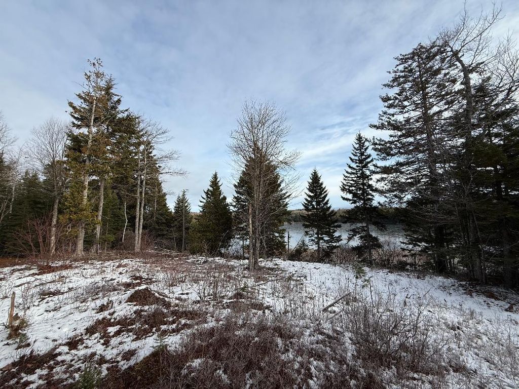 Photo of Lot 7BH Steam Mill Road, Robbinston, ME 04671 (MLS # 1652630)
