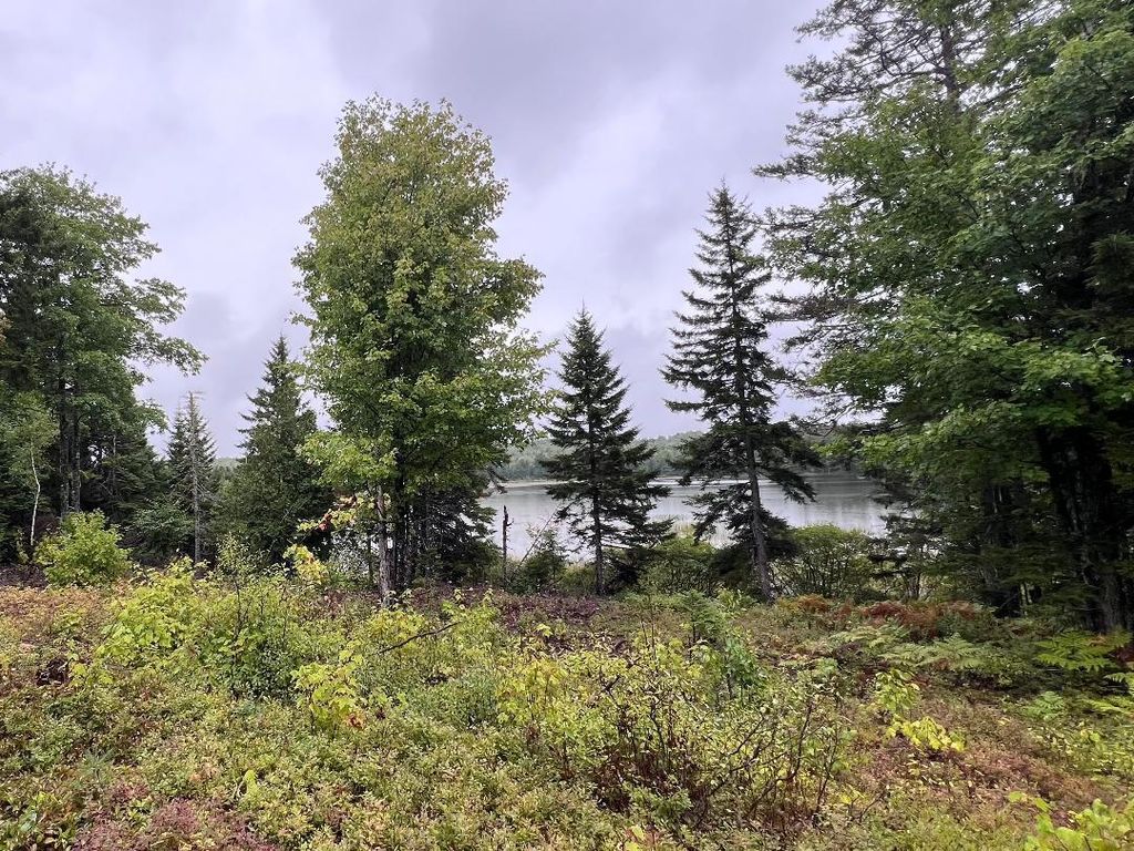 Photo of Lot 7BH Steam Mill Road, Robbinston, ME 04671 (MLS # 1652630)