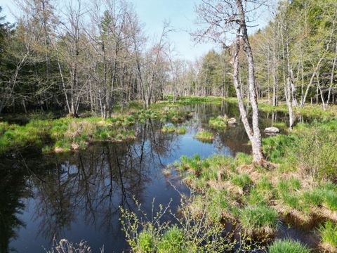 Photo of Lot 2 Off Mattamiscontis Road, Howland, ME 04448 (MLS # 1663347)