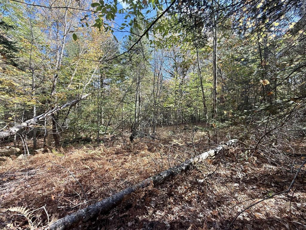 Photo of M19 L6-6 Tuell Hill Road, Sumner, ME 04292 (MLS # 1640045)