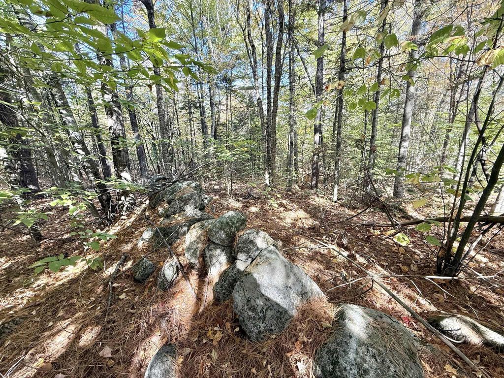 Photo of M19 L6-6 Tuell Hill Road, Sumner, ME 04292 (MLS # 1640045)