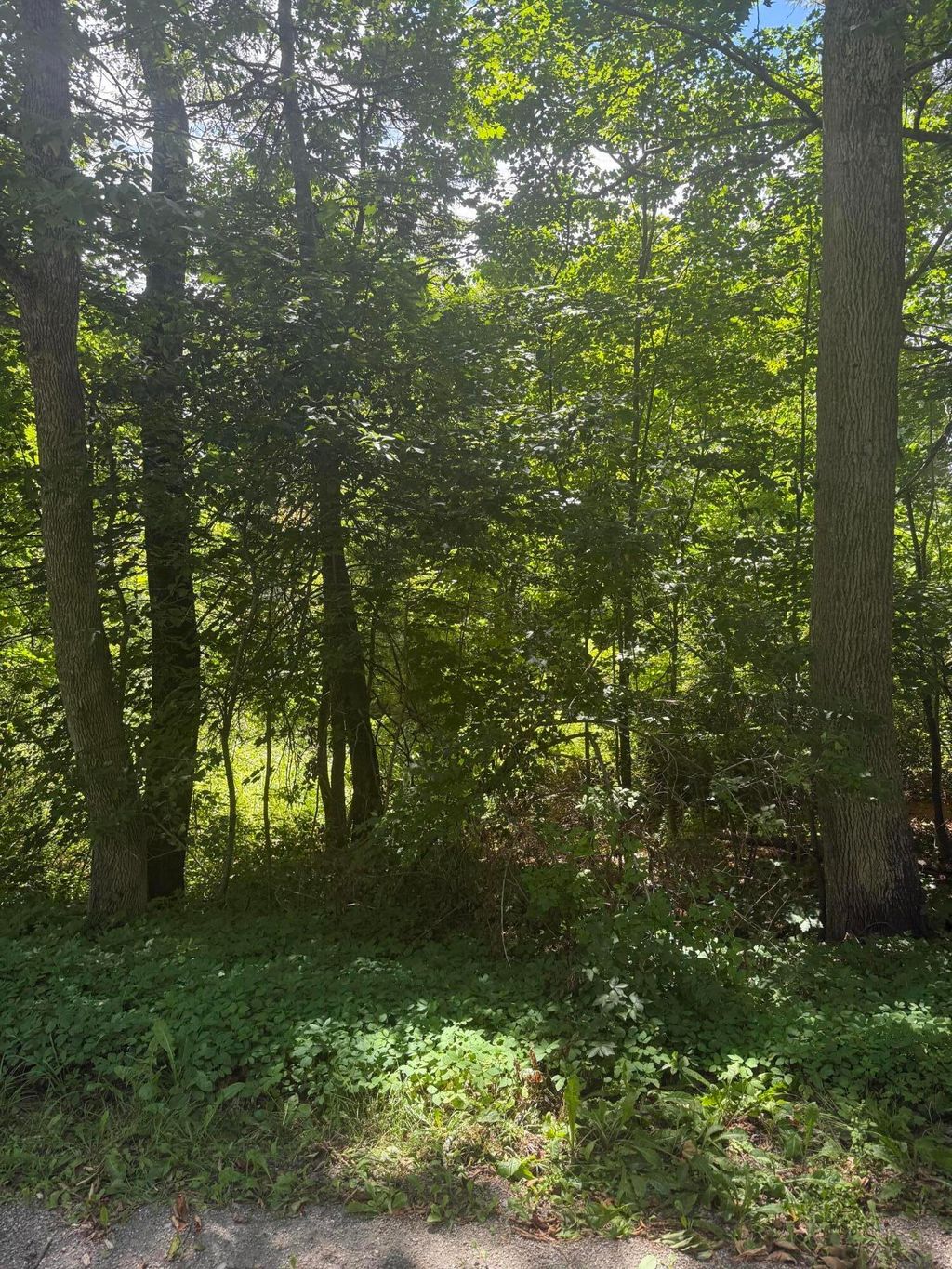 Photo of 0 Patterson Hill Road #Lot 2, Belfast, ME 04915 (MLS # 1657668)