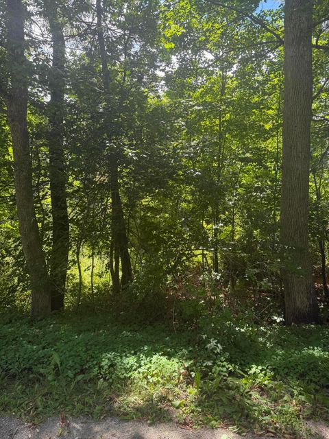 Photo of 0 Patterson Hill Road #Lot 2, Belfast, ME 04915 (MLS # 1657668)