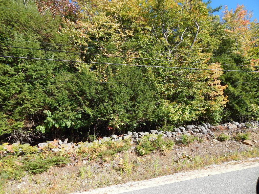 Photo of Lot 6 Ellingwood Road, Paris, ME 04271 (MLS # 1639726)
