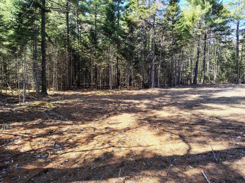 Photo of 49 Glacier Lane, Northfield, ME 04654 (MLS # 1652730)