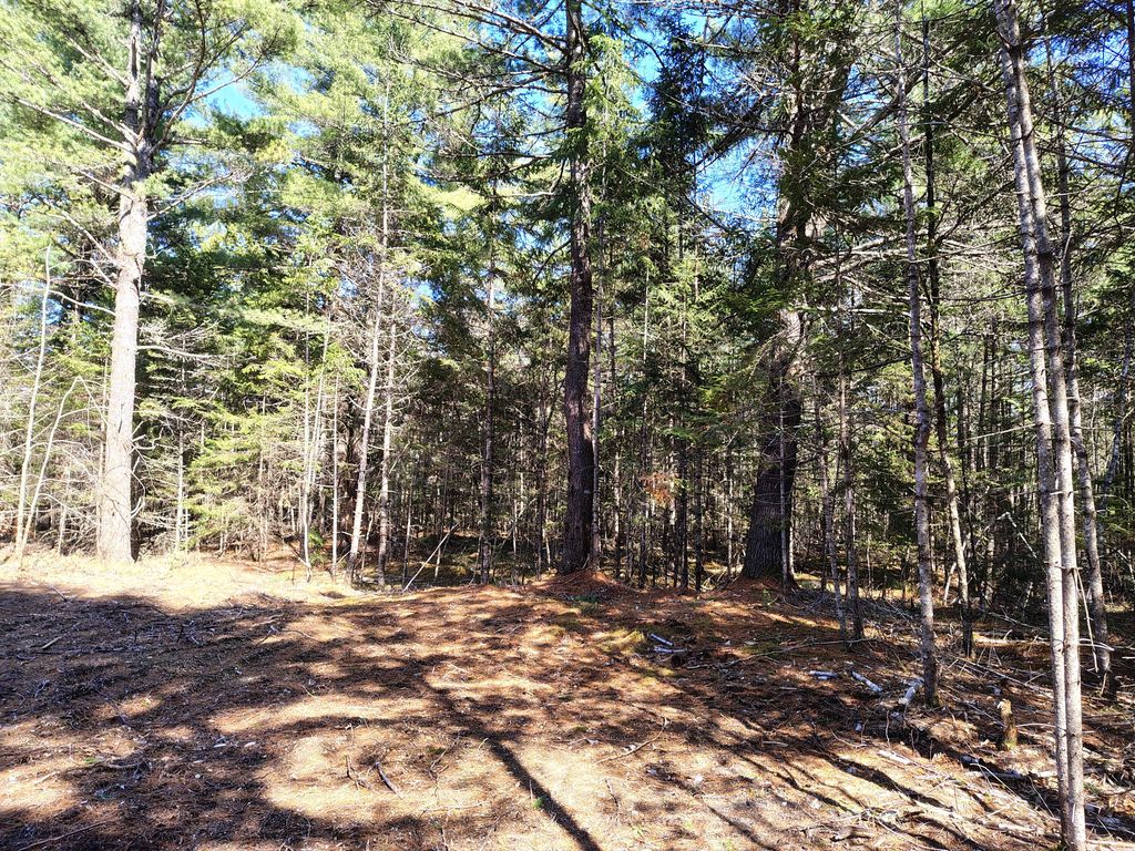 Photo of 49 Glacier Lane, Northfield, ME 04654 (MLS # 1652730)