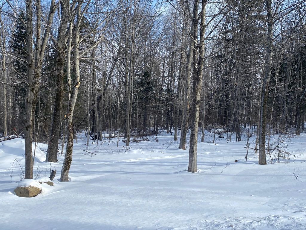 Photo of 47 Greenville Road #Lot 1, Shirley, ME 04485 (MLS # 1649612)