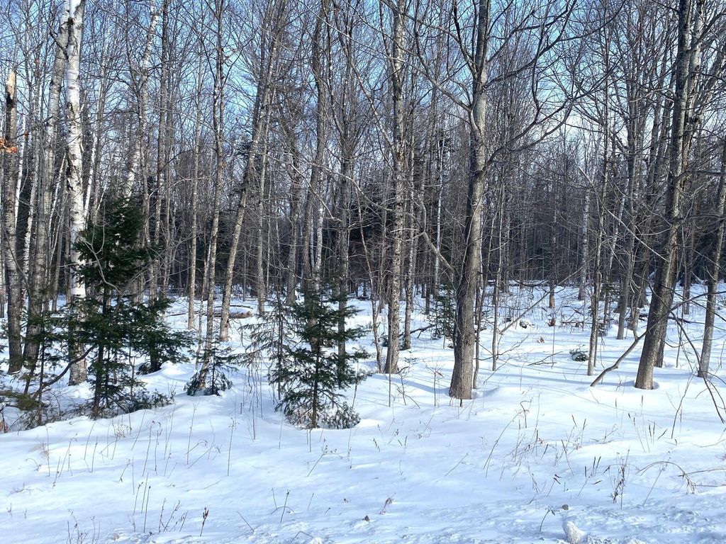 Photo of 47 Greenville Road #Lot 1, Shirley, ME 04485 (MLS # 1649612)