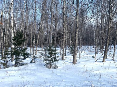 Photo of 47 Greenville Road #Lot 1, Shirley, ME 04485 (MLS # 1649612)