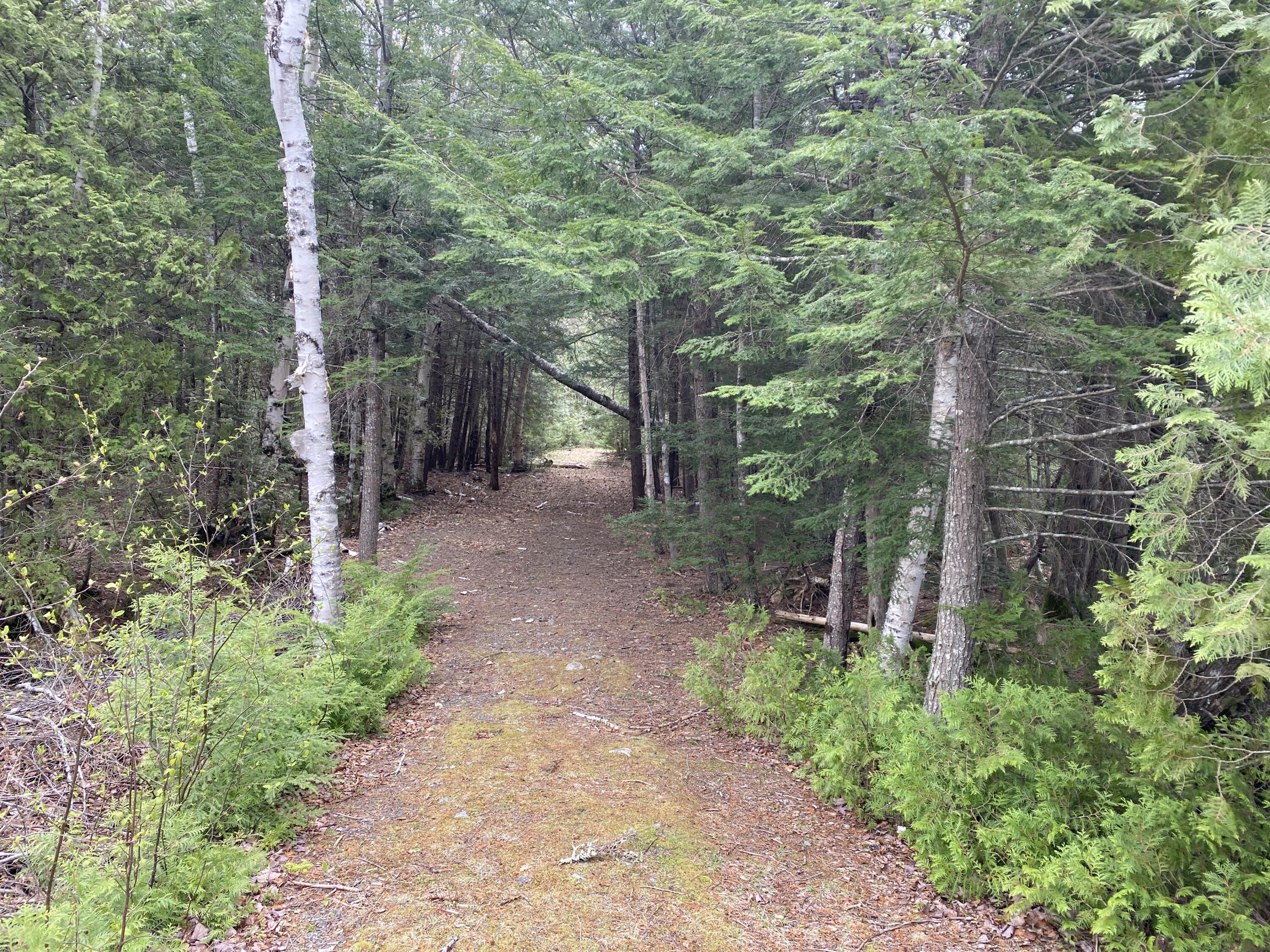 TBD Depot Road