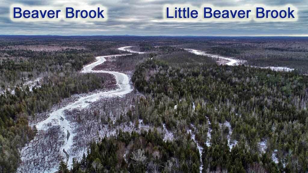 Photo of Lot 10A Fire Road, Linneus, ME 04730 (MLS # 1648834)