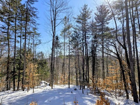 Photo of Lot 10-C Staples Pond Road, Temple, ME 04984 (MLS # 1655150)