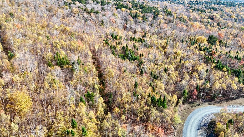 Photo of Lot 11 Blair Hill Road, Greenville, ME 04441 (MLS # 1648767)