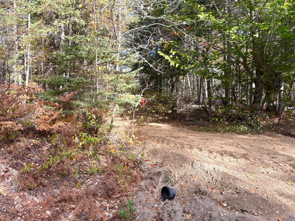 Photo of Lot 22 Off South Meadow &amp; Roys Way Road, Perry, ME 04667 (MLS # 1641634)