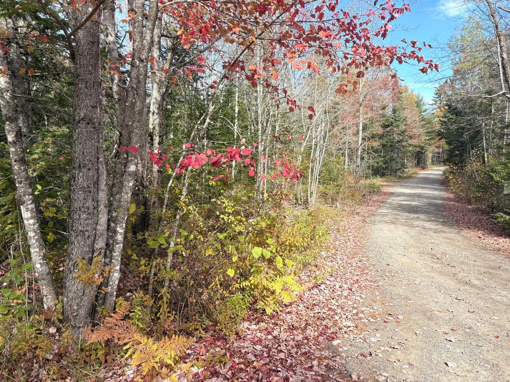 Photo of Lot 22 Off South Meadow &amp; Roys Way Road, Perry, ME 04667 (MLS # 1641634)