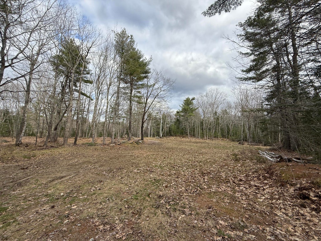 Photo of 59 Sennett Way, Ellsworth, ME 04605 (MLS # 1660272)