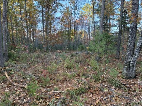 Photo of Lot 16 (2) Whittier Road, Farmington, ME 04938 (MLS # 1656944)
