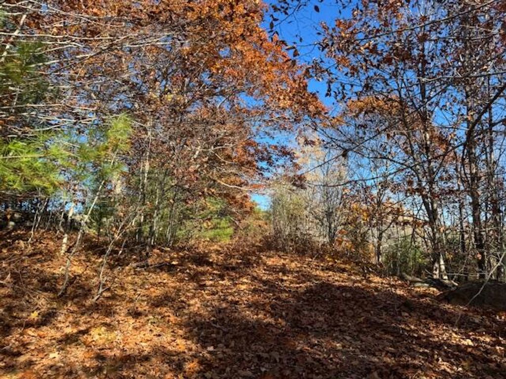 Photo of Lot 50-002 Tolman Road, Warren, ME 04864 (MLS # 1642439)