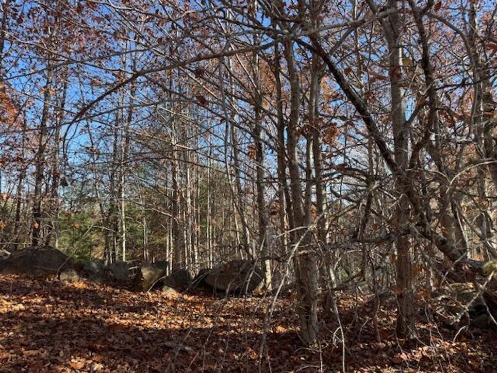 Photo of Lot 50-002 Tolman Road, Warren, ME 04864 (MLS # 1642439)
