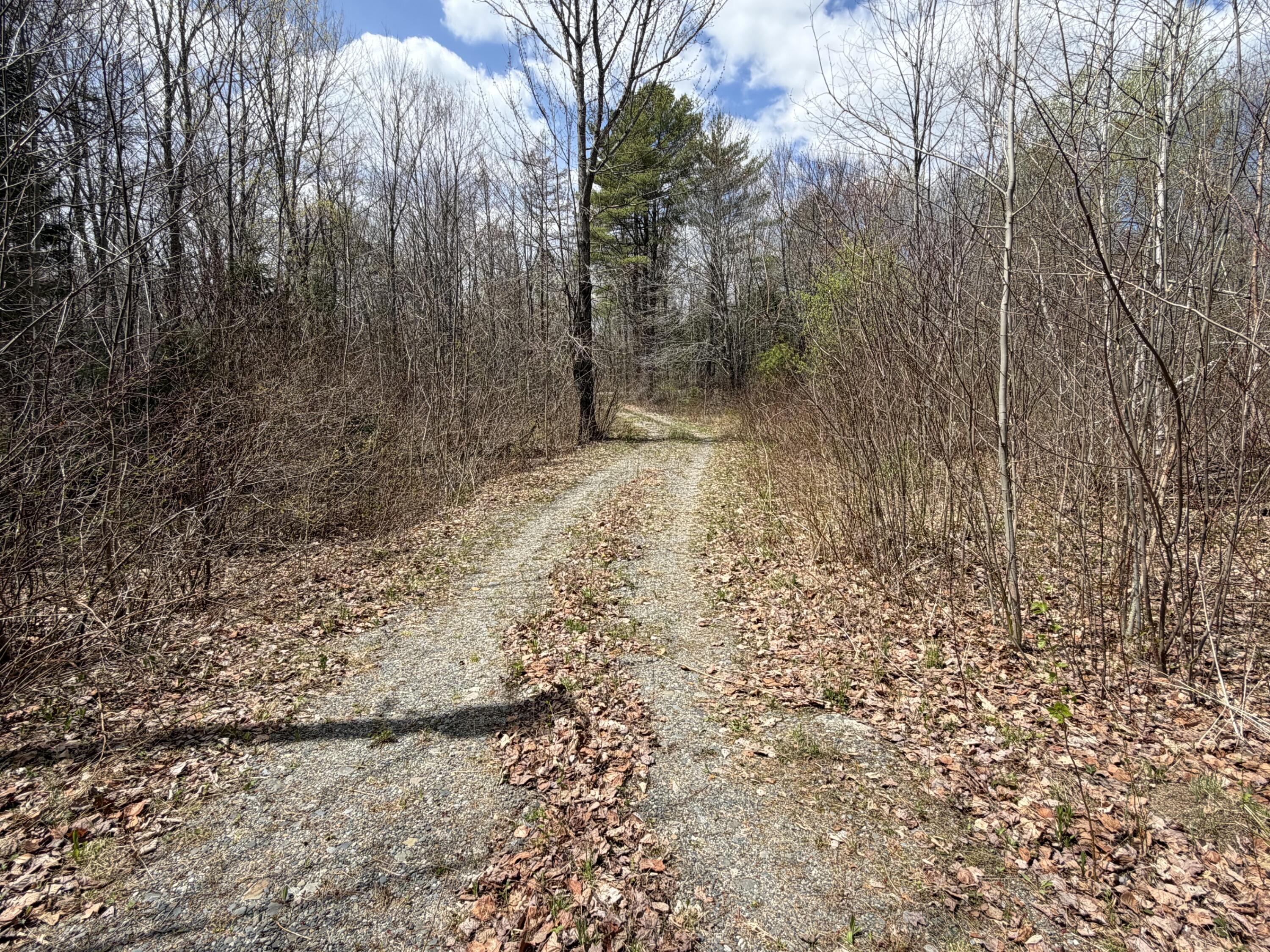 1163 Seboeis Road